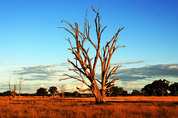 Dry Outback in Australia